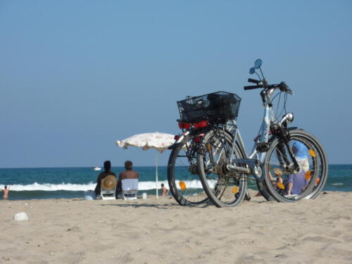 rowery na plaży